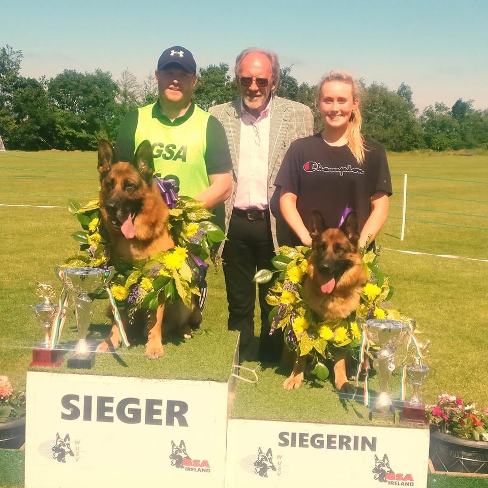 IRISH SIEGER BREED SHOW/KöRUNG 2019 RESULTS/ PICTURES