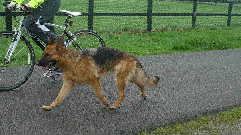 AD ENDURANCE TEST GSA Ireland