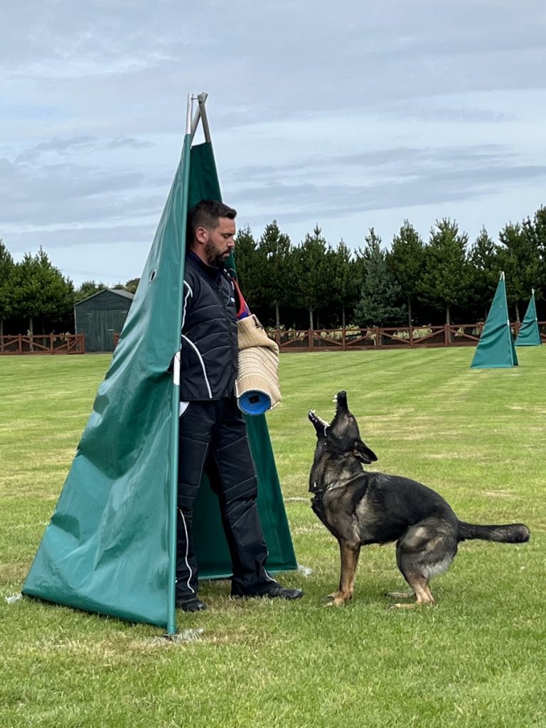 OG Thomond will be hosting a Club IGP Trial on Saturday 5th and Sunday 6th November 2022.