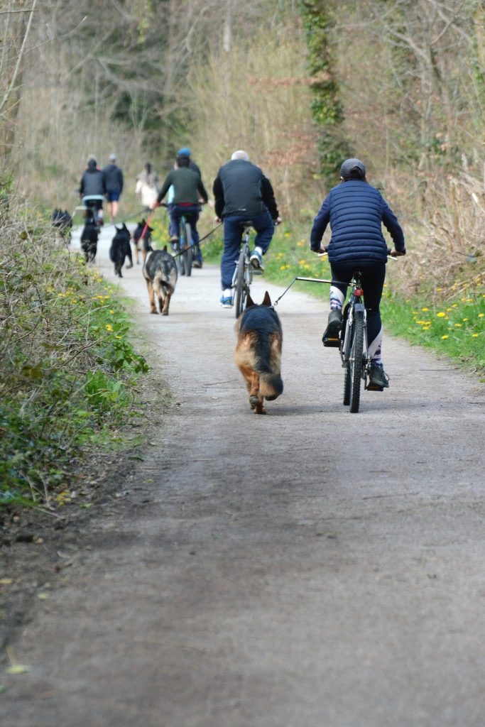 OG Waterside hosts AD Endurance Test